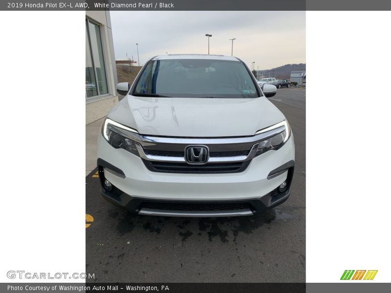 White Diamond Pearl / Black 2019 Honda Pilot EX-L AWD