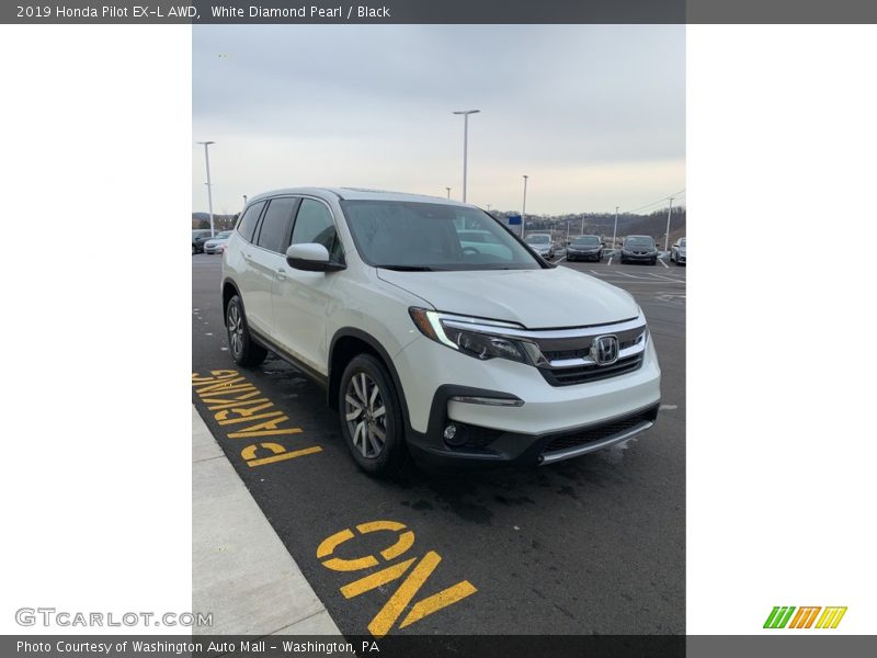 White Diamond Pearl / Black 2019 Honda Pilot EX-L AWD