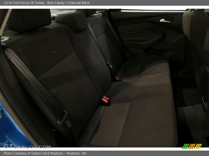 Blue Candy / Charcoal Black 2016 Ford Focus SE Sedan