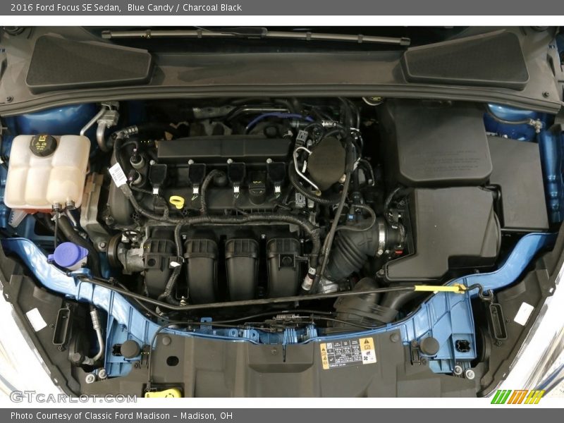 Blue Candy / Charcoal Black 2016 Ford Focus SE Sedan
