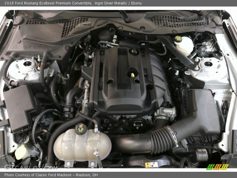 Ingot Silver Metallic / Ebony 2016 Ford Mustang EcoBoost Premium Convertible