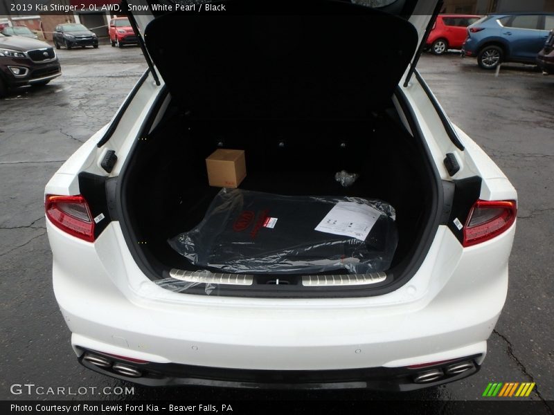 Snow White Pearl / Black 2019 Kia Stinger 2.0L AWD