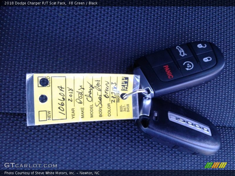 F8 Green / Black 2018 Dodge Charger R/T Scat Pack