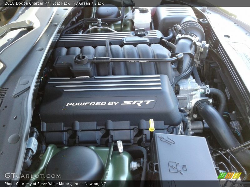 F8 Green / Black 2018 Dodge Charger R/T Scat Pack