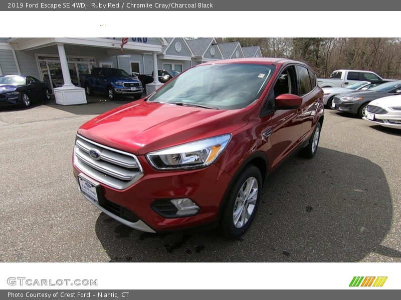 Ruby Red / Chromite Gray/Charcoal Black 2019 Ford Escape SE 4WD