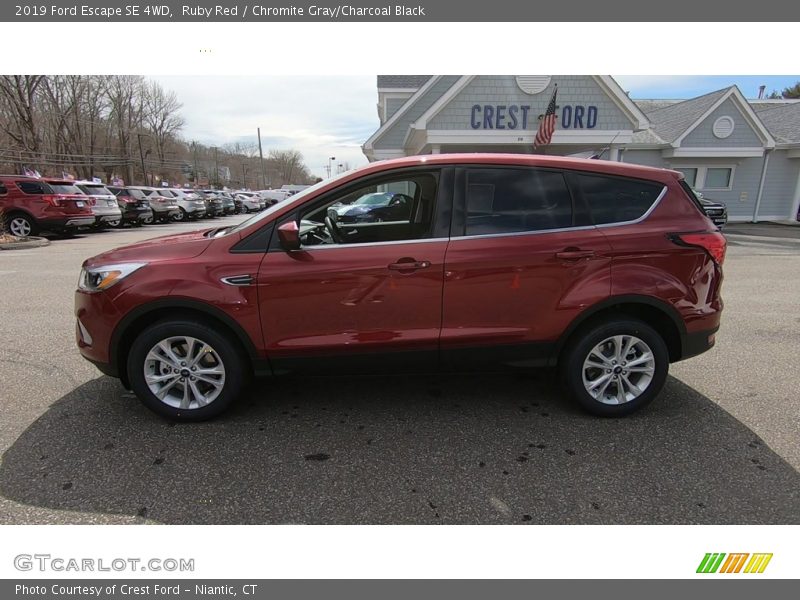 Ruby Red / Chromite Gray/Charcoal Black 2019 Ford Escape SE 4WD