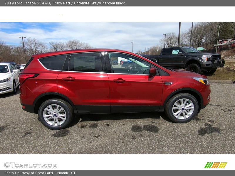 Ruby Red / Chromite Gray/Charcoal Black 2019 Ford Escape SE 4WD