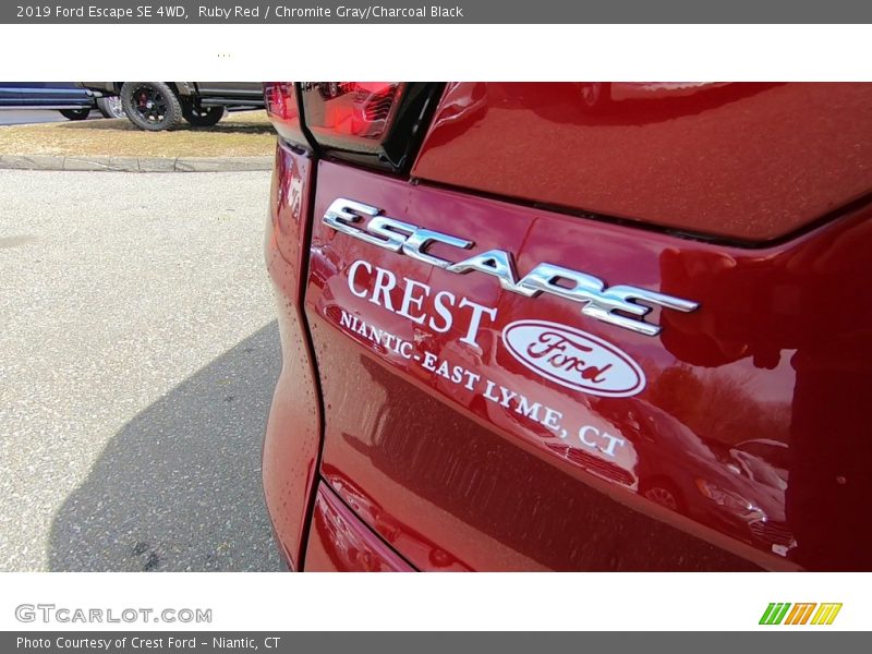 Ruby Red / Chromite Gray/Charcoal Black 2019 Ford Escape SE 4WD