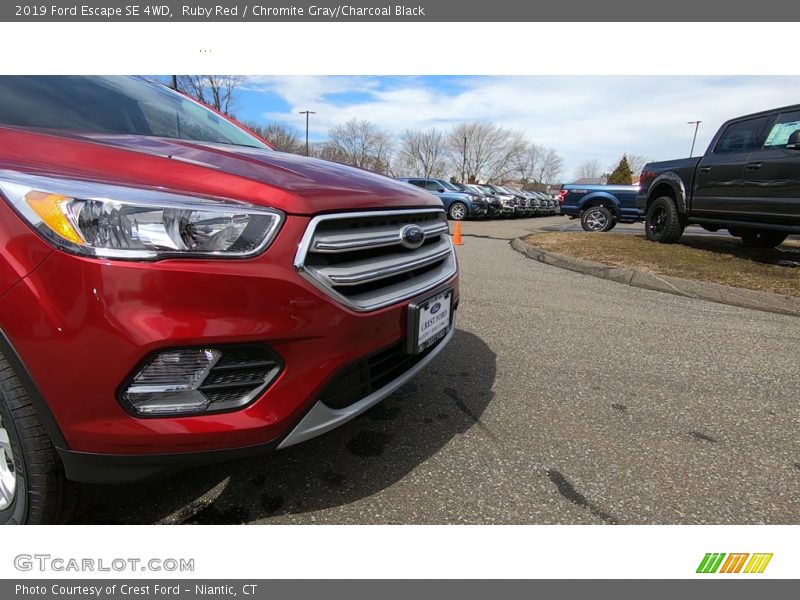 Ruby Red / Chromite Gray/Charcoal Black 2019 Ford Escape SE 4WD