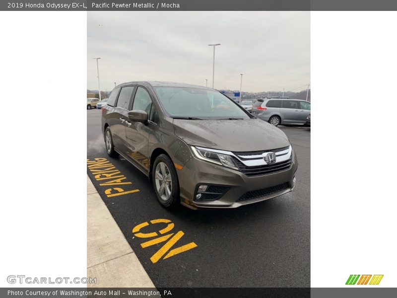 Pacific Pewter Metallic / Mocha 2019 Honda Odyssey EX-L
