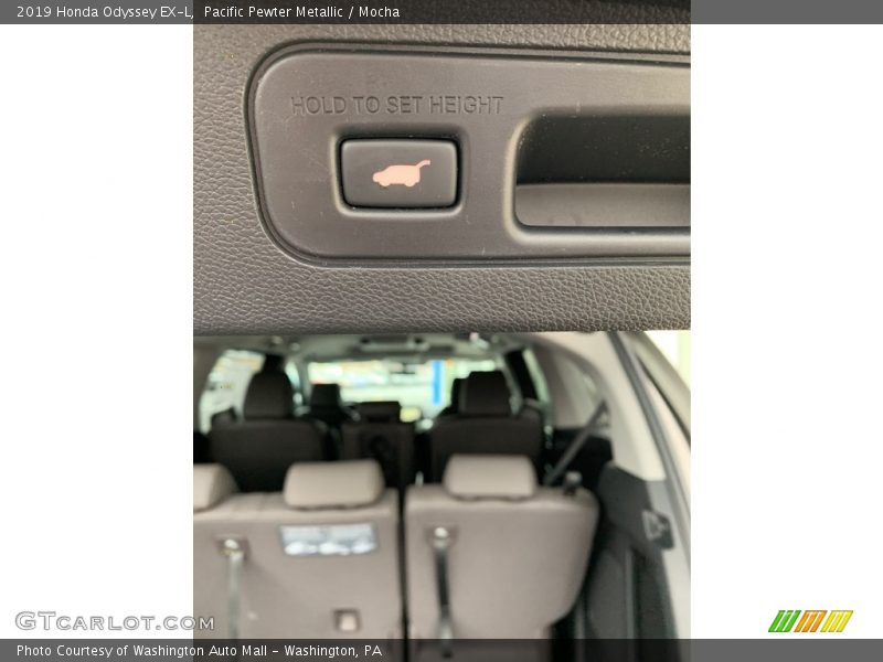 Pacific Pewter Metallic / Mocha 2019 Honda Odyssey EX-L