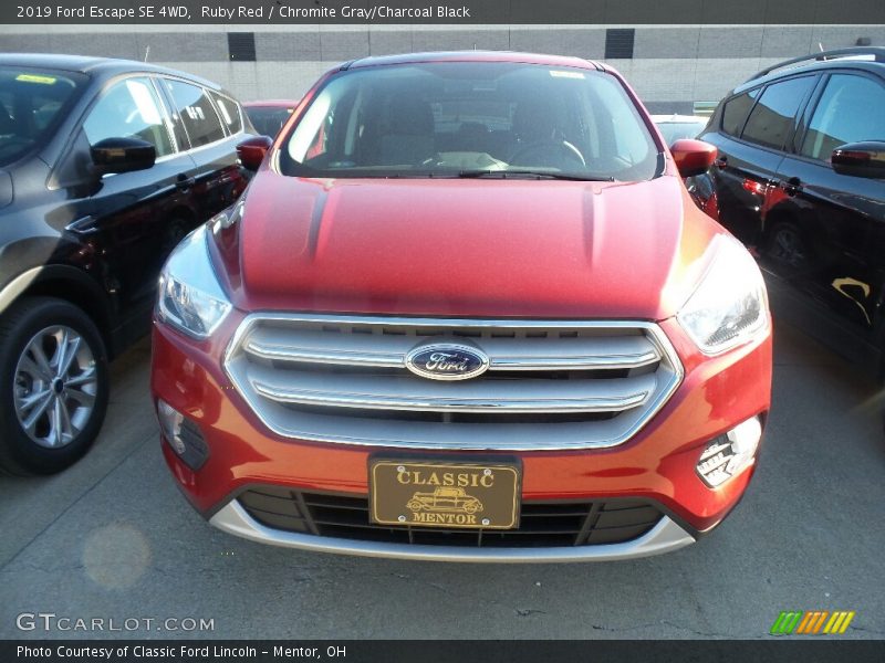 Ruby Red / Chromite Gray/Charcoal Black 2019 Ford Escape SE 4WD