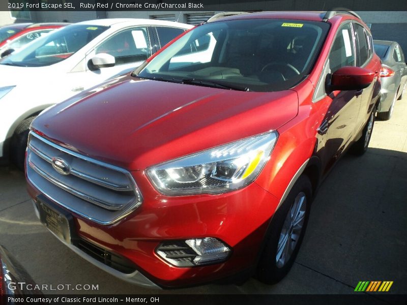 Ruby Red / Chromite Gray/Charcoal Black 2019 Ford Escape SEL