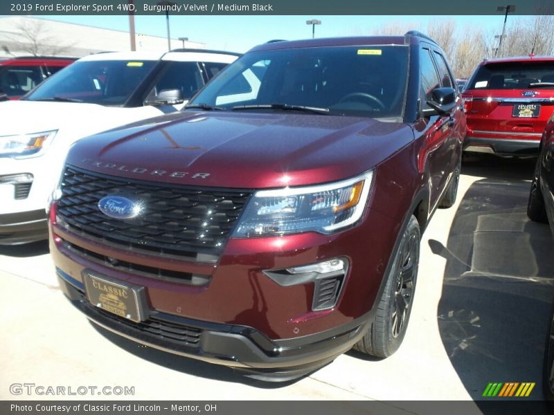 Burgundy Velvet / Medium Black 2019 Ford Explorer Sport 4WD