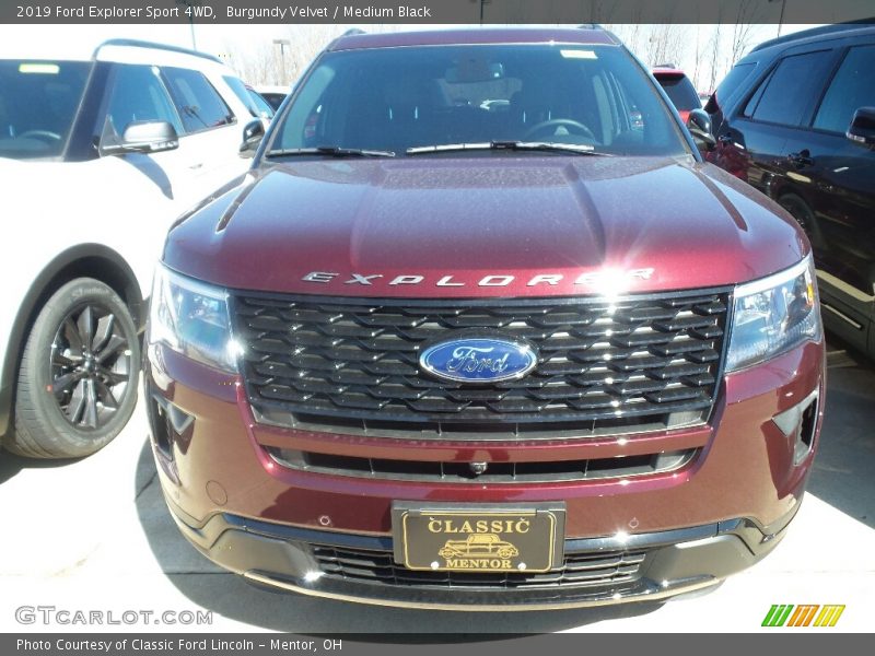 Burgundy Velvet / Medium Black 2019 Ford Explorer Sport 4WD
