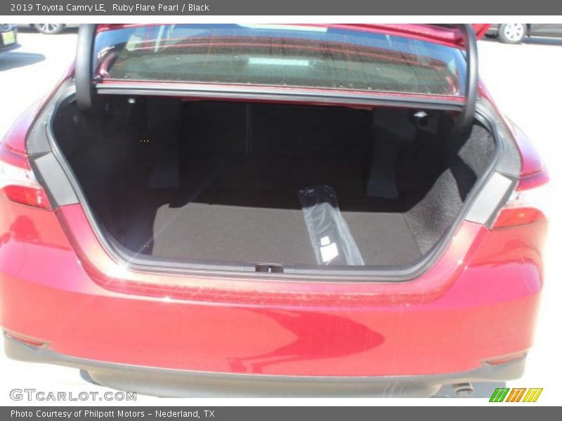 Ruby Flare Pearl / Black 2019 Toyota Camry LE