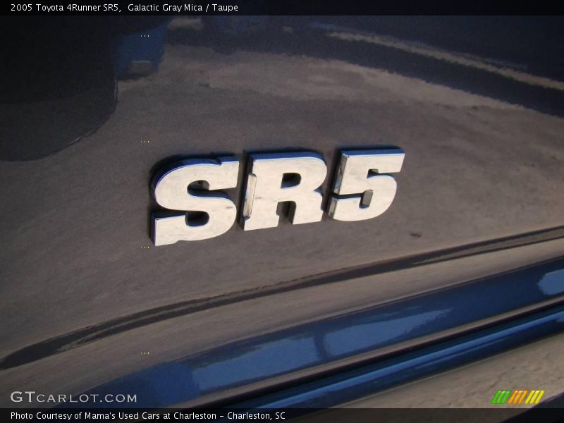 Galactic Gray Mica / Taupe 2005 Toyota 4Runner SR5
