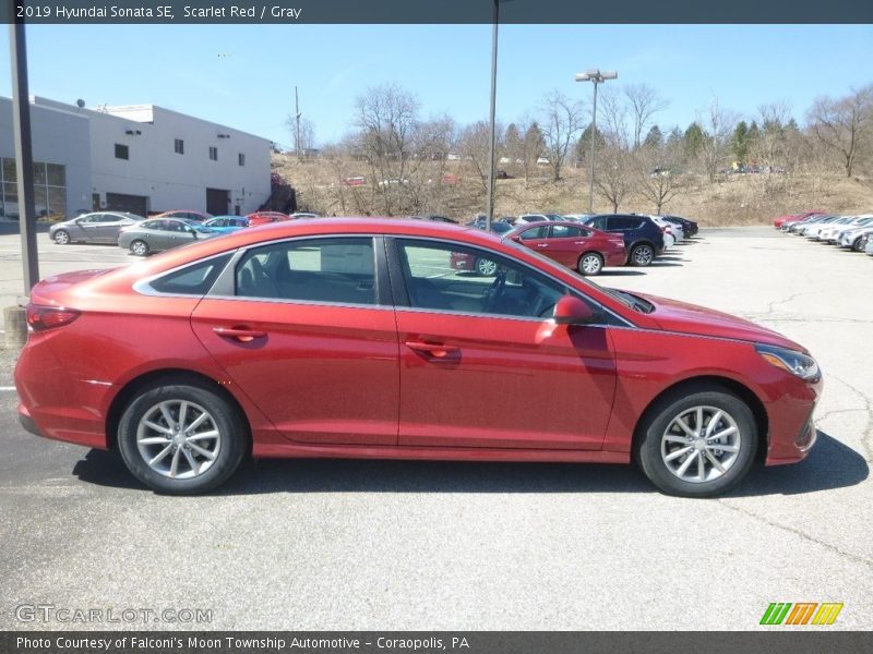 Scarlet Red / Gray 2019 Hyundai Sonata SE