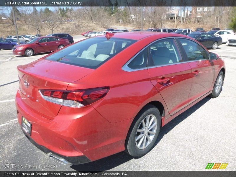 Scarlet Red / Gray 2019 Hyundai Sonata SE