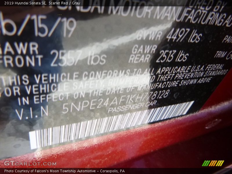 Scarlet Red / Gray 2019 Hyundai Sonata SE