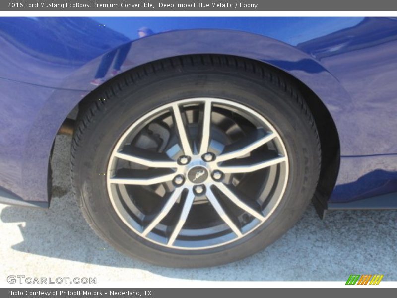 Deep Impact Blue Metallic / Ebony 2016 Ford Mustang EcoBoost Premium Convertible