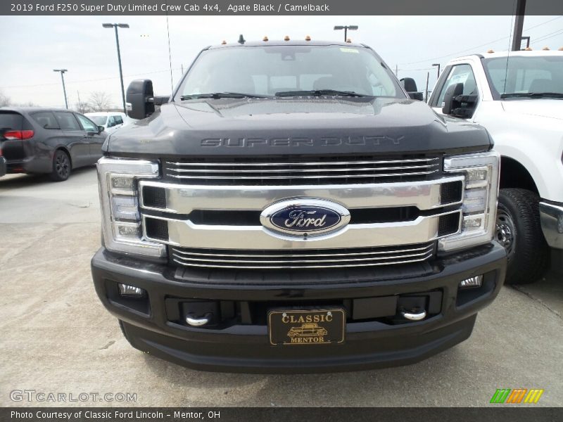 Agate Black / Camelback 2019 Ford F250 Super Duty Limited Crew Cab 4x4