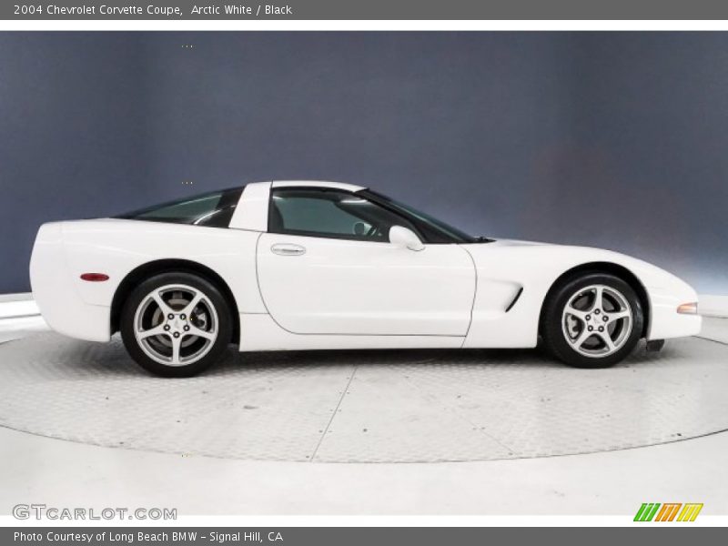 Arctic White / Black 2004 Chevrolet Corvette Coupe