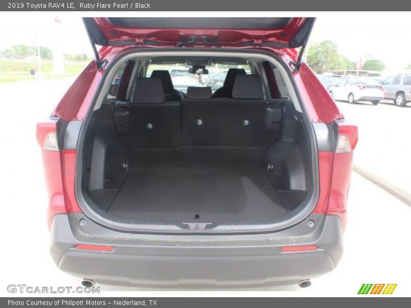 Ruby Flare Pearl / Black 2019 Toyota RAV4 LE