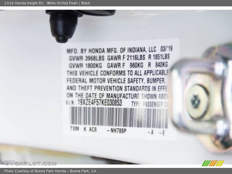 White Orchid Pearl / Black 2019 Honda Insight EX