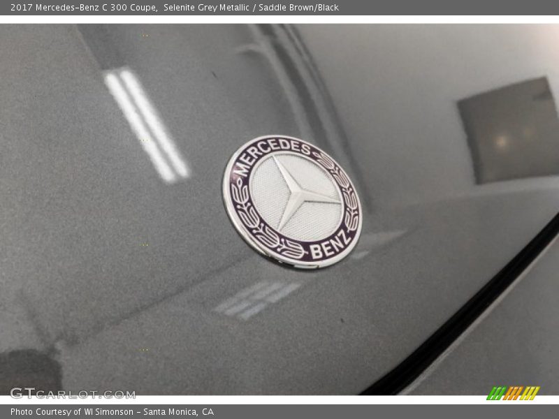 Selenite Grey Metallic / Saddle Brown/Black 2017 Mercedes-Benz C 300 Coupe