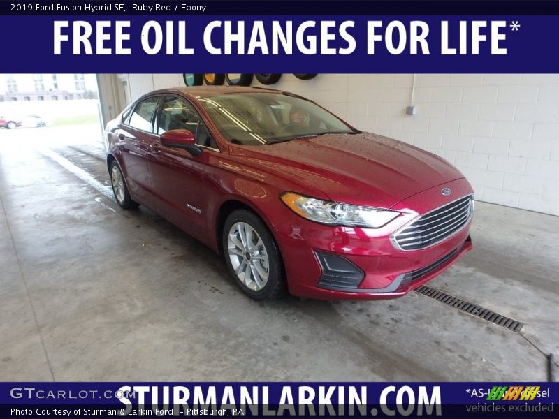 Ruby Red / Ebony 2019 Ford Fusion Hybrid SE