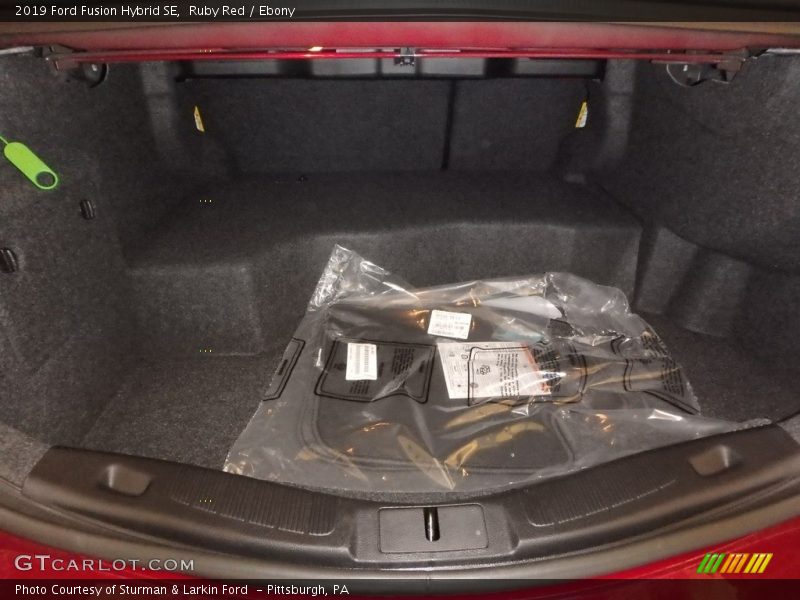 Ruby Red / Ebony 2019 Ford Fusion Hybrid SE