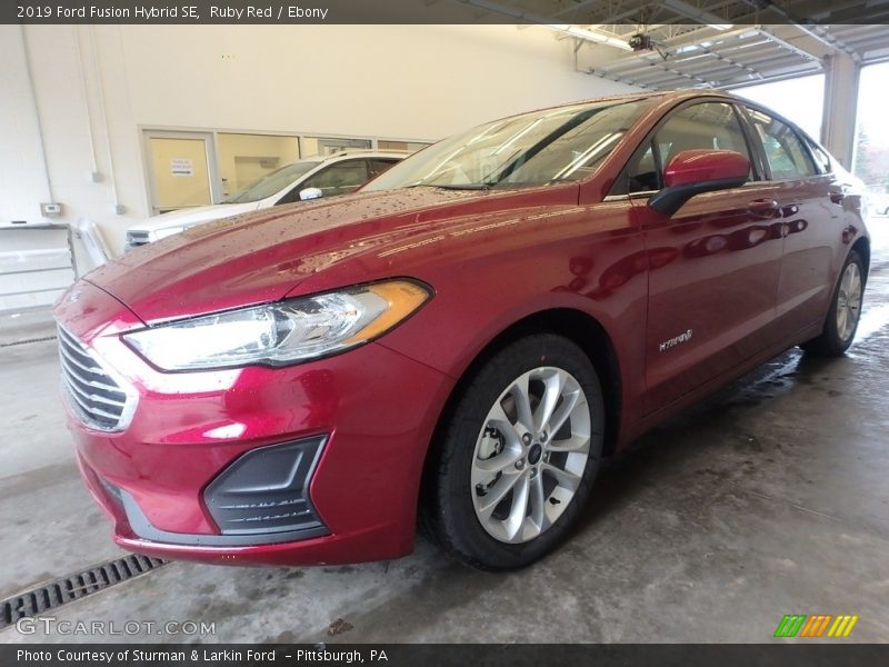 Ruby Red / Ebony 2019 Ford Fusion Hybrid SE