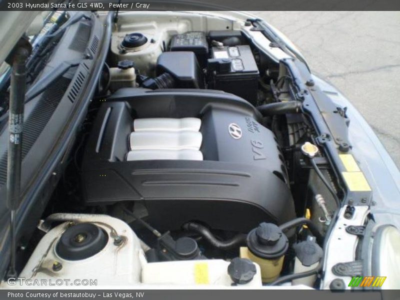 Pewter / Gray 2003 Hyundai Santa Fe GLS 4WD