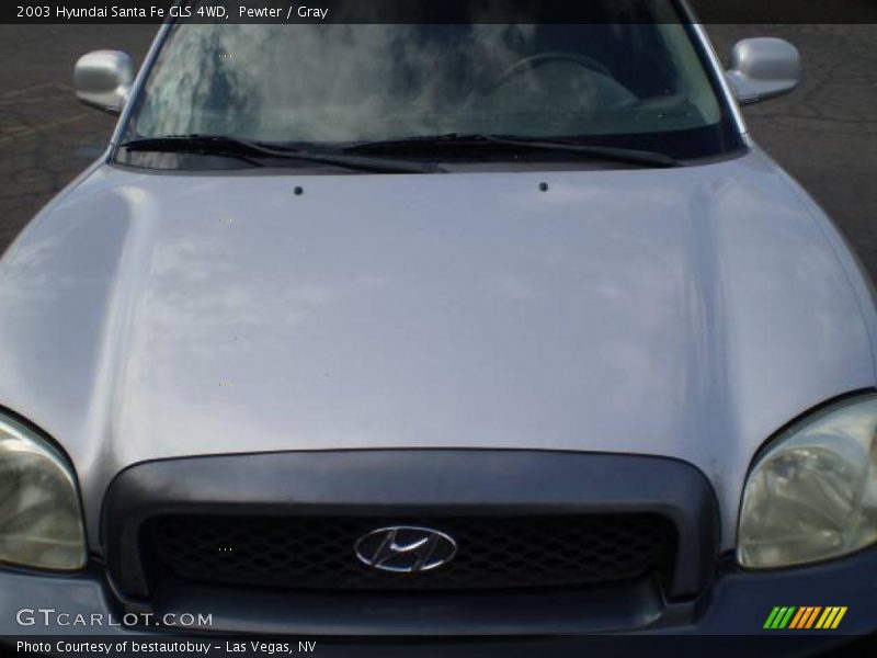 Pewter / Gray 2003 Hyundai Santa Fe GLS 4WD