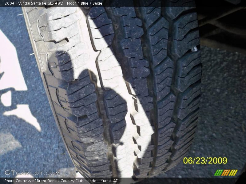 Moonlit Blue / Beige 2004 Hyundai Santa Fe GLS 4WD