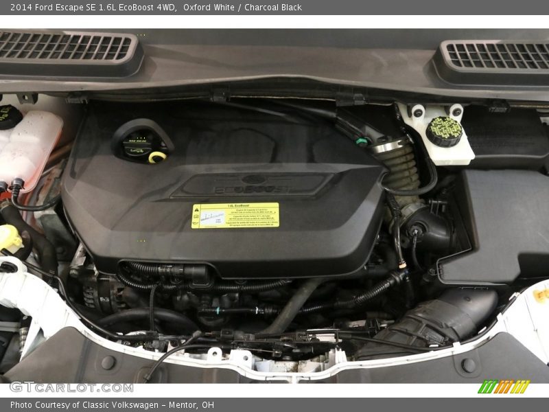 Oxford White / Charcoal Black 2014 Ford Escape SE 1.6L EcoBoost 4WD