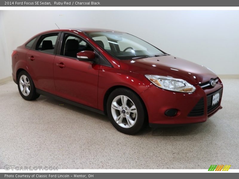 Ruby Red / Charcoal Black 2014 Ford Focus SE Sedan