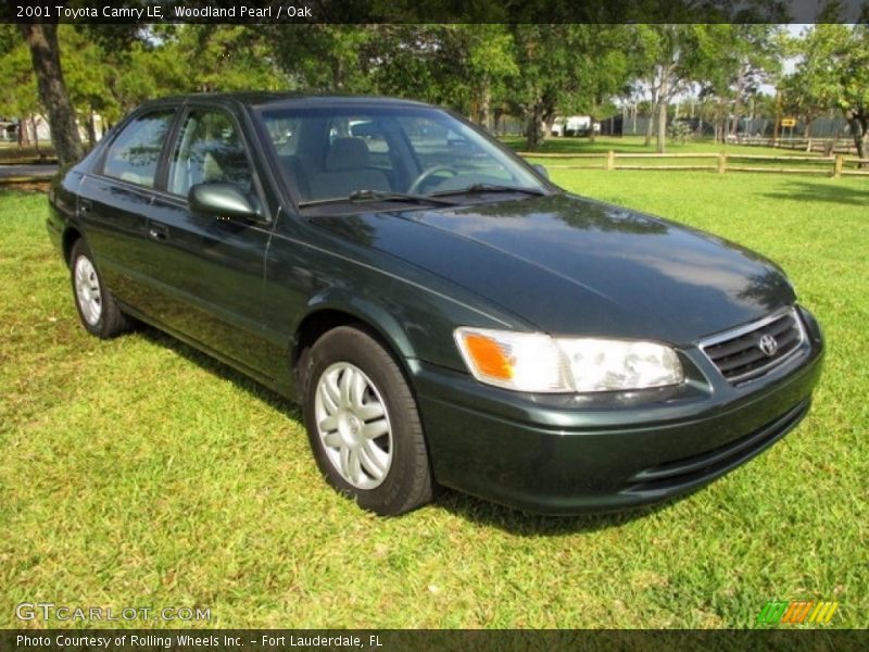 Woodland Pearl / Oak 2001 Toyota Camry LE