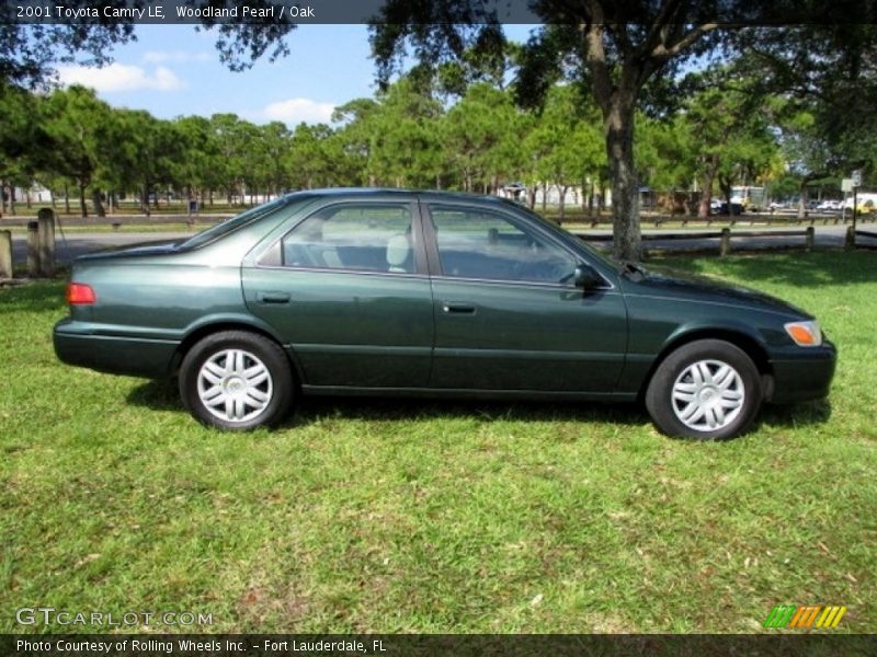 Woodland Pearl / Oak 2001 Toyota Camry LE