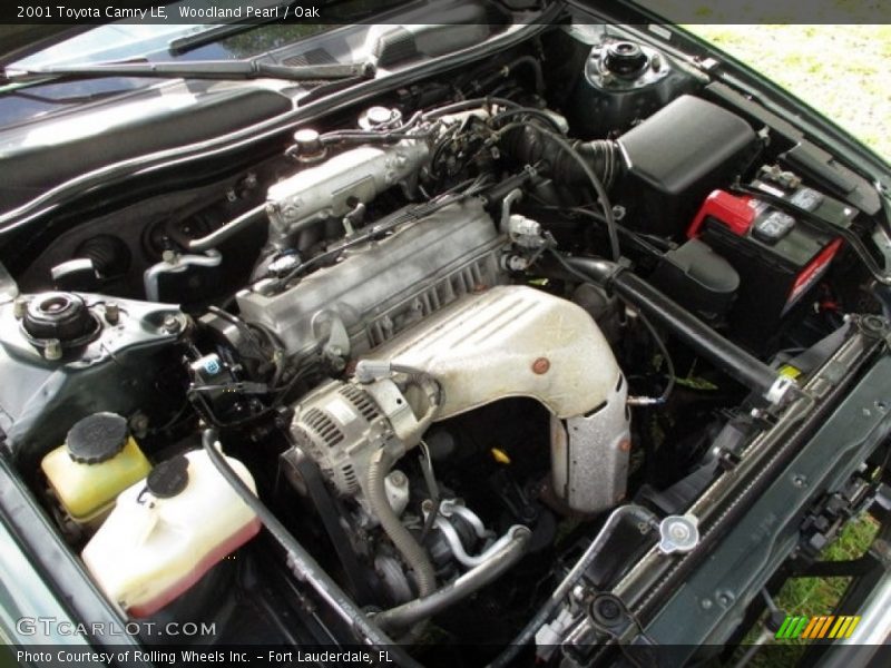 Woodland Pearl / Oak 2001 Toyota Camry LE