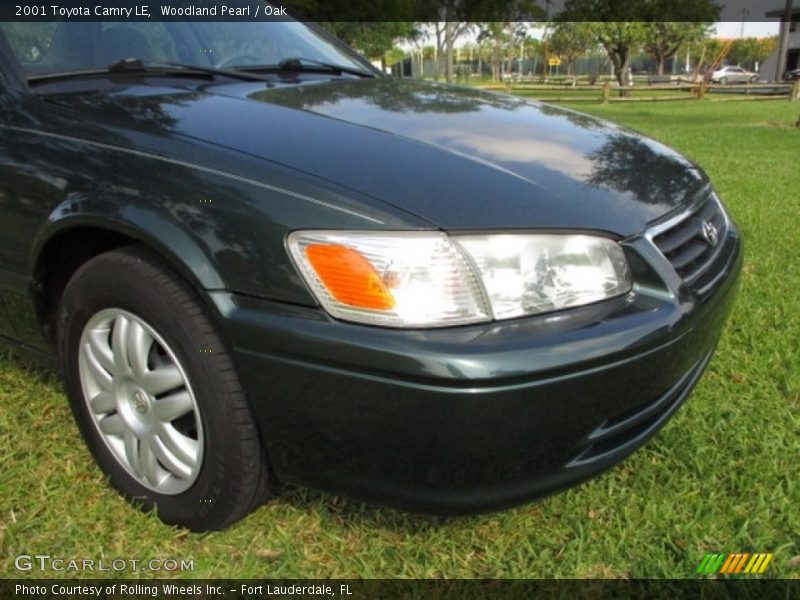 Woodland Pearl / Oak 2001 Toyota Camry LE
