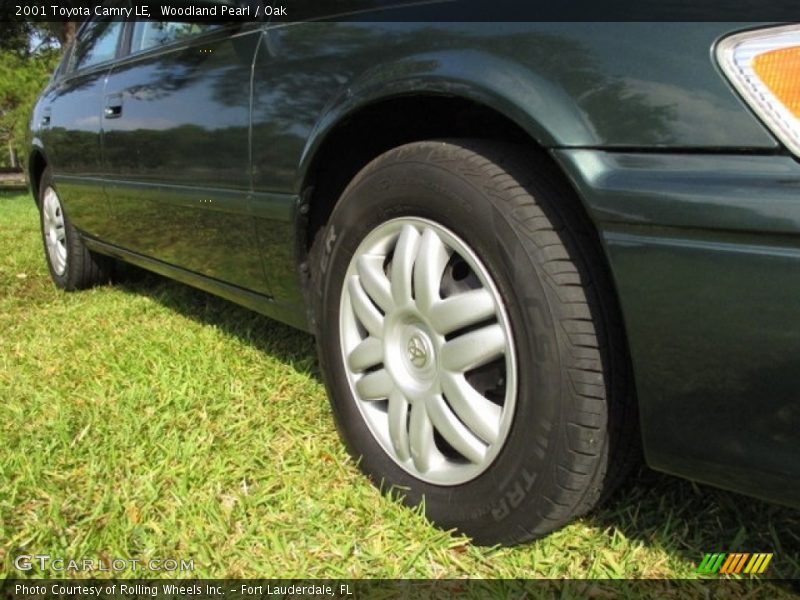 Woodland Pearl / Oak 2001 Toyota Camry LE