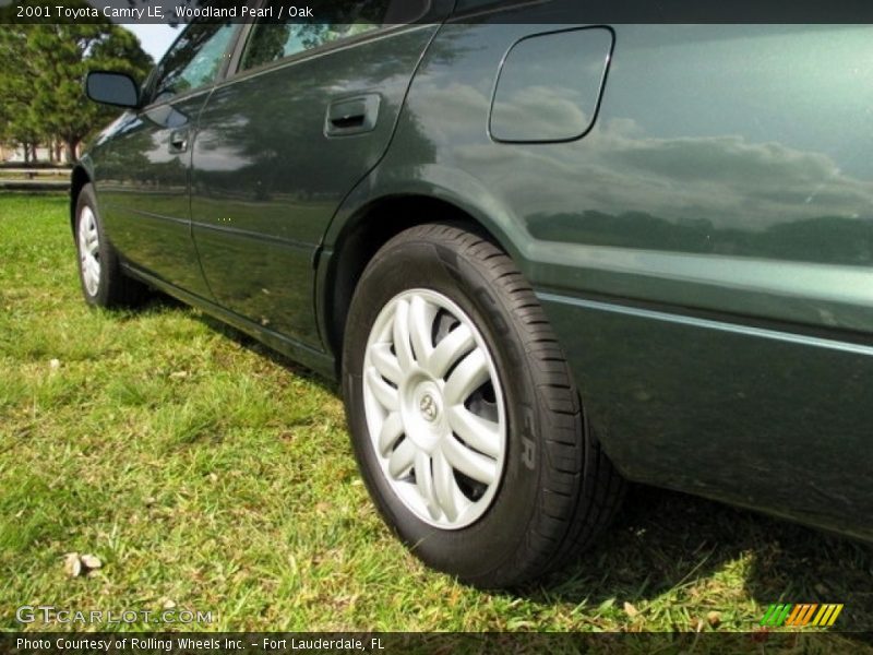 Woodland Pearl / Oak 2001 Toyota Camry LE