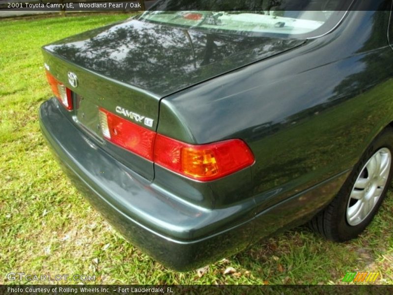 Woodland Pearl / Oak 2001 Toyota Camry LE