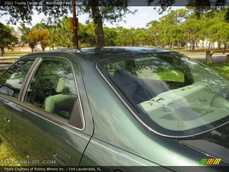Woodland Pearl / Oak 2001 Toyota Camry LE