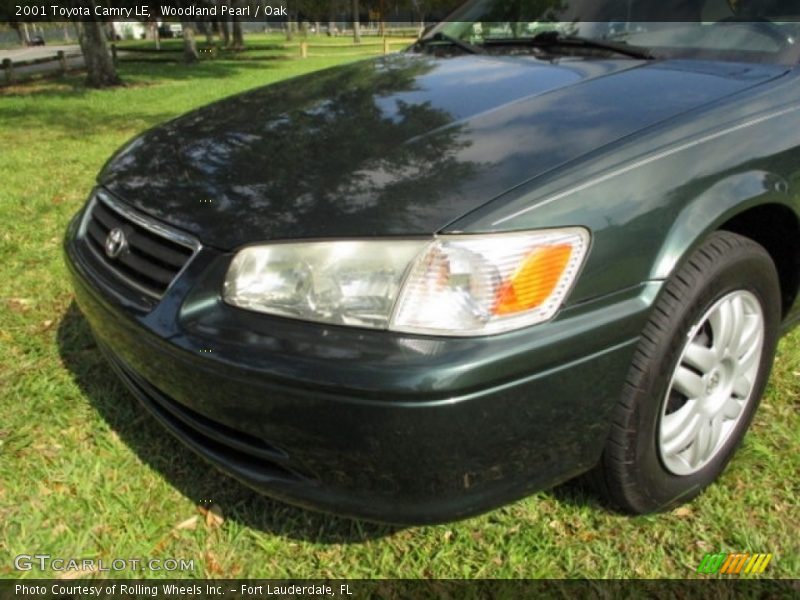 Woodland Pearl / Oak 2001 Toyota Camry LE