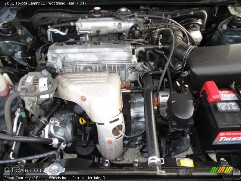 Woodland Pearl / Oak 2001 Toyota Camry LE