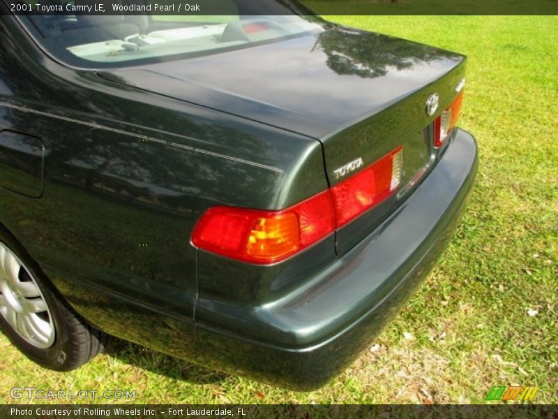 Woodland Pearl / Oak 2001 Toyota Camry LE