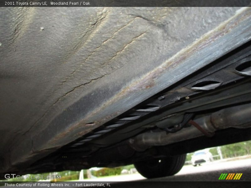Woodland Pearl / Oak 2001 Toyota Camry LE